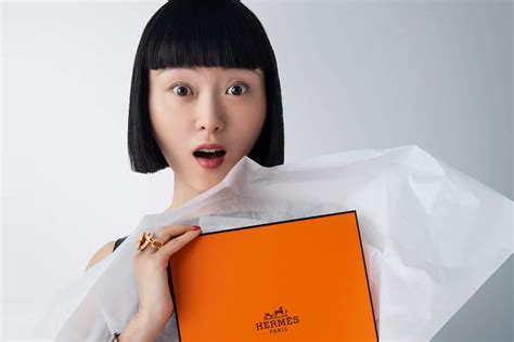 hermes ads on favebook|hermes ad campaign.